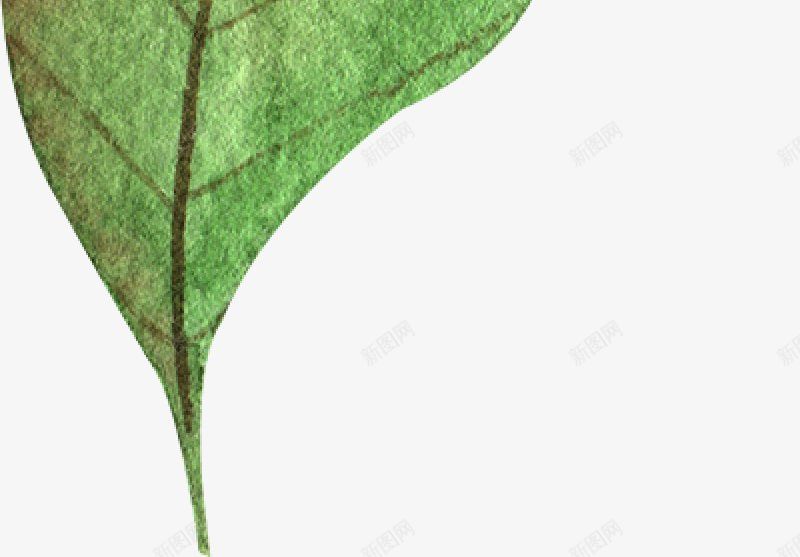 水彩秋季树叶图手绘彩绘水彩插画png免抠素材_88icon https://88icon.com 免扣手绘彩绘水彩插画 水彩秋季树叶图