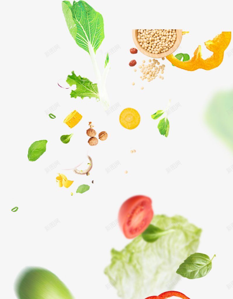 野菜生活叶子菜叶蔬菜飘浮植物集中营png免抠素材_88icon https://88icon.com 叶子 植物集中营 菜叶 蔬菜飘浮 野菜生活