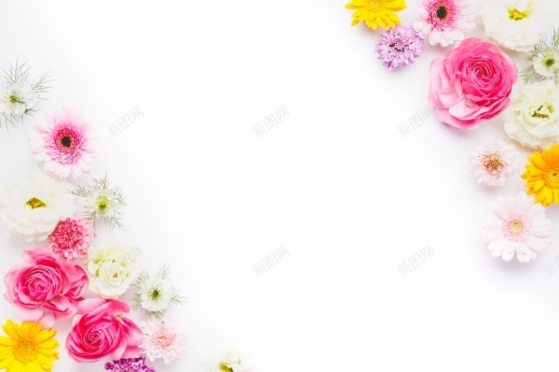 清新清新花朵花花朵俯拍花俯拍俯拍俯拍图海报海报底图jpg设计背景_88icon https://88icon.com 俯拍 图 小清新 底图 海报 清新 花 花俯拍 花朵 花朵俯拍