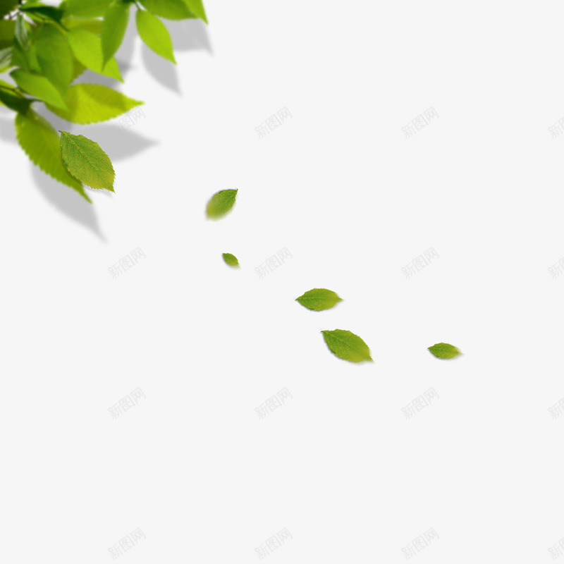 飘零的叶子psd免抠素材_88icon https://88icon.com 抚叶 春风 春风抚叶免费下载 清风徐徐 清风徐来 生机 绿色 飘落