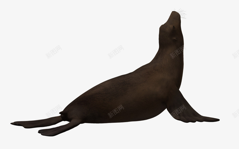 3d鱼类海底世界png免抠素材_88icon https://88icon.com 海底 海底世界 海底动物 海洋生物 海洋素材 自然