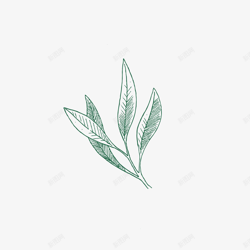 细长创意的美丽手绘矢量图ai免抠素材_88icon https://88icon.com 复古 植物 线框 细小叶子 美丽 茶叶形状 长条 矢量图