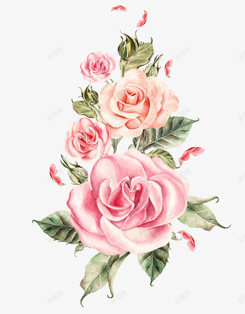 手绘粉色玫瑰花束png免抠素材_88icon https://88icon.com 卡通花 唯美 唯美花簇 手绘 手绘花 手绘花饰素材 春天 水彩 清新 玫瑰 玫瑰捧花 玫瑰花束 玫瑰花瓣
