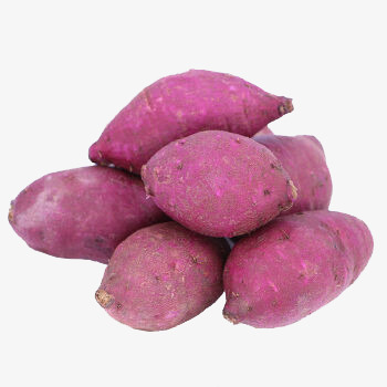 金手指紫薯png免抠素材_88icon https://88icon.com 紫薯 蔬菜 金手指紫薯 食物
