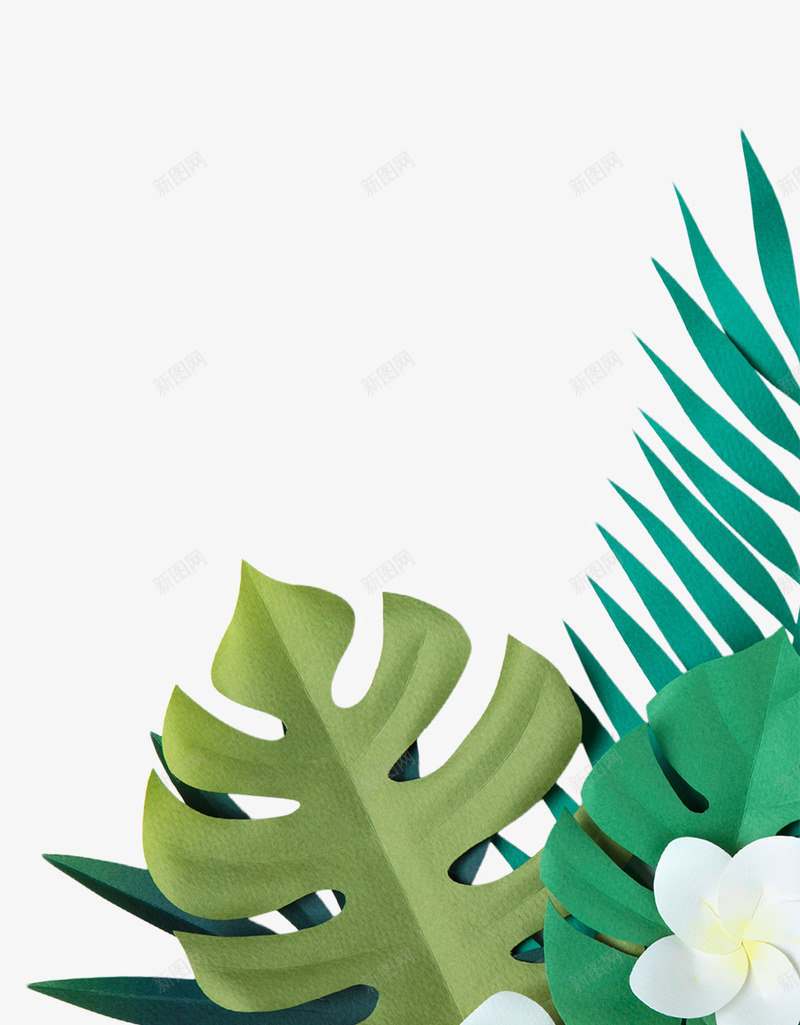 手绘植物叶子花朵装饰png免抠素材_88icon https://88icon.com 包装设计 小清新包装 小白花 绿叶 花朵 花朵装饰 花瓣 花草设计 贺卡设计 龟背竹叶子