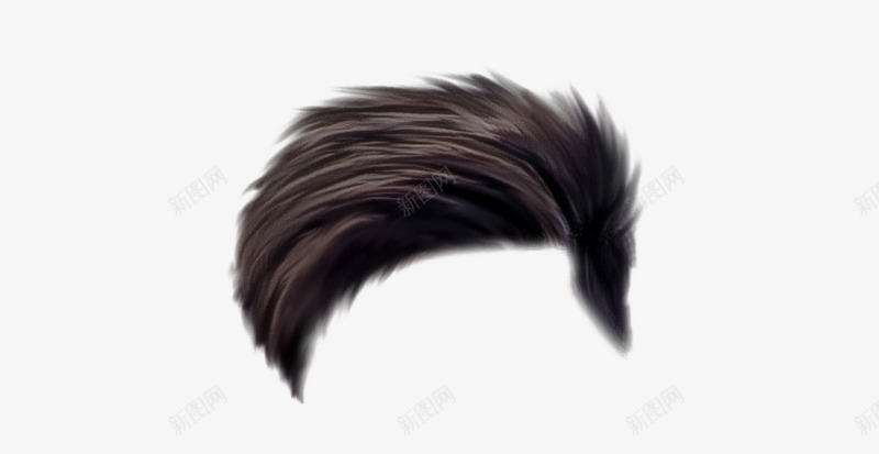 真人用的假发png免抠素材_88icon https://88icon.com 假发 发套 头发 男士假发 短头发