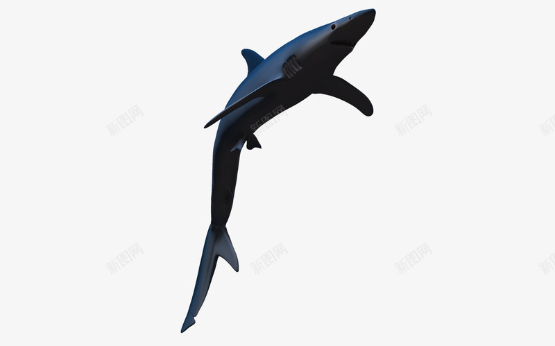 蓝色海洋海洋动物png免抠素材_88icon https://88icon.com 3D 3d 动物 海底 海底世界 海洋