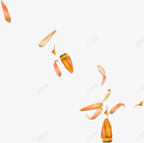 透明黄色花瓣装修png免抠素材_88icon https://88icon.com 花瓣 装修 透明 黄色