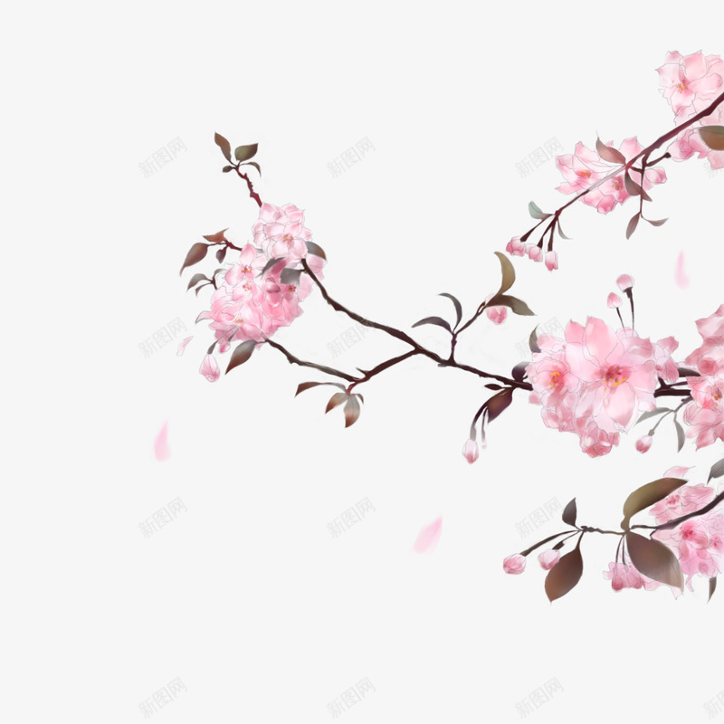 清新小花卡通插画1png免抠素材_88icon https://88icon.com 万物复苏 中国风 中式 卡通 古典 古风 叶子 文艺 春天 水墨 水彩 清新 花朵 花瓣 飘逸 鲜花