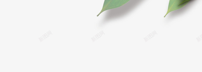 竹叶png免抠素材_88icon https://88icon.com 叶子 端午 竹叶 竹叶免抠图 竹子 素材 背景