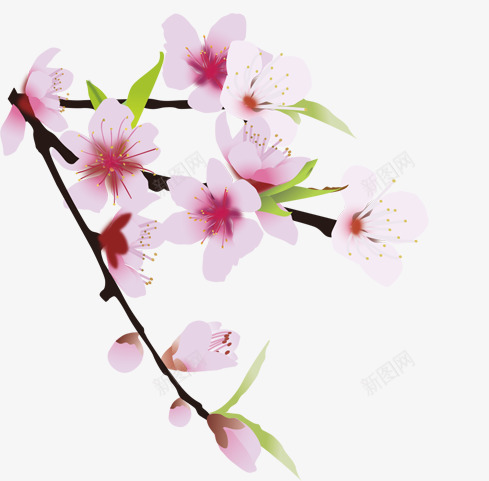 娇艳的桃花春天元素桃花枝png免抠素材_88icon https://88icon.com 叶子 图案 夏天 手绘植物 春天桃花 植物 浪漫粉红花瓣png素材 绘画 绿色 装饰
