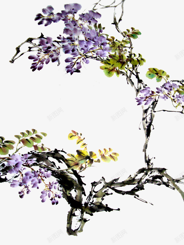 中国风水墨紫藤png免抠素材_88icon https://88icon.com 中国风 手绘紫藤花 水墨画 紫色花朵 紫藤花 装饰 黄绿色叶子