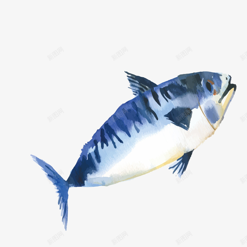 美味的鲤鱼简单手绘矢量图eps免抠素材_88icon https://88icon.com 味道鲜美 海底生物 肥大 营养价值高 食材 鲤鱼 矢量图