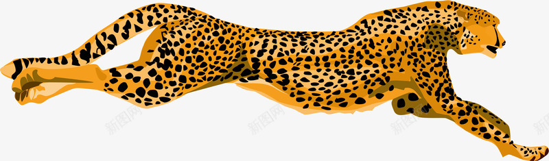 腾空奔跑猎豹png免抠素材_88icon https://88icon.com 奔跑 猎豹头 腾空 豹头 豹子 跳跃