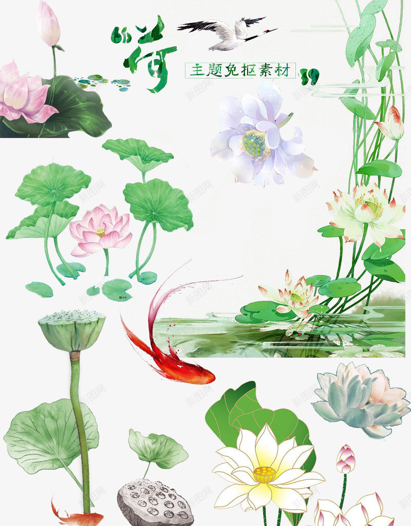 荷花图手绘中国风psd免抠素材_88icon https://88icon.com 免抠 分层 夏荷 无背景 植物 水墨 溶图 竹子荷花荷叶满池塘 绿叶 花朵 花蕊 花骨朵 荷 荷叶 荷叶特写 荷花 荷花特写 荷花蕊 莲 莲花 锦鲤 高清荷花