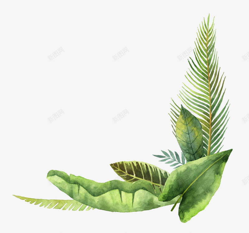 手绘绿色植物叶子边框png免抠素材_88icon https://88icon.com 创意 卡通手绘 叶子 叶子真实 小清新 植物 水彩 绿叶 花朵 装饰 边框 鲜花