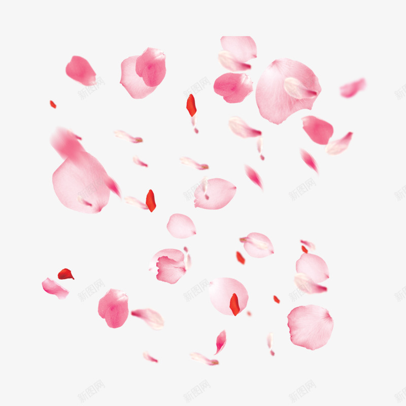 粉色飘落樱花花瓣png免抠素材_88icon https://88icon.com 一地花瓣 散落 樱花 粉红色 花瓣 飘落 高清