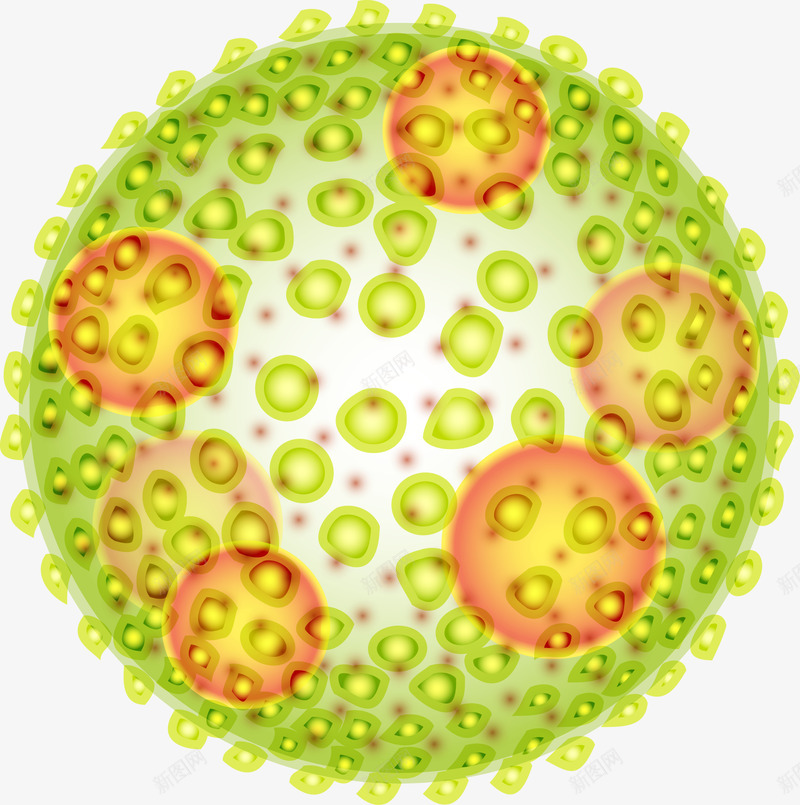 生物研究细胞分裂png免抠素材_88icon https://88icon.com 显微镜 生物医疗 生物学 生物研究 真菌 细胞 细胞高清大图 细菌 细菌结构 蛋白质细胞
