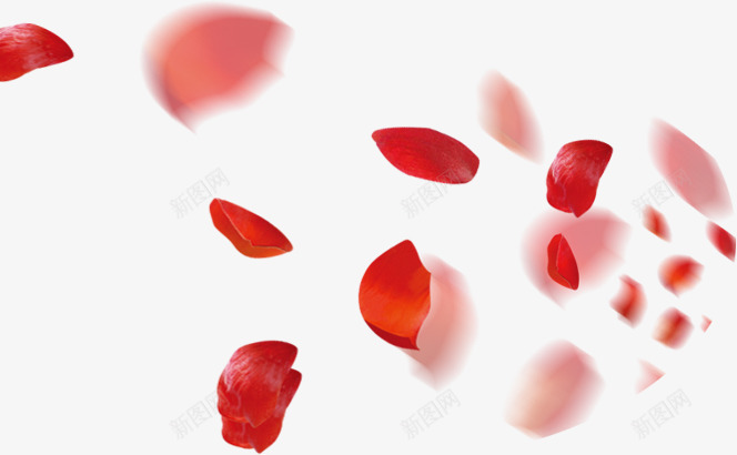 红色漂浮玫瑰花瓣活动电商png免抠素材_88icon https://88icon.com 活动 漂浮 玫瑰 红色 花瓣