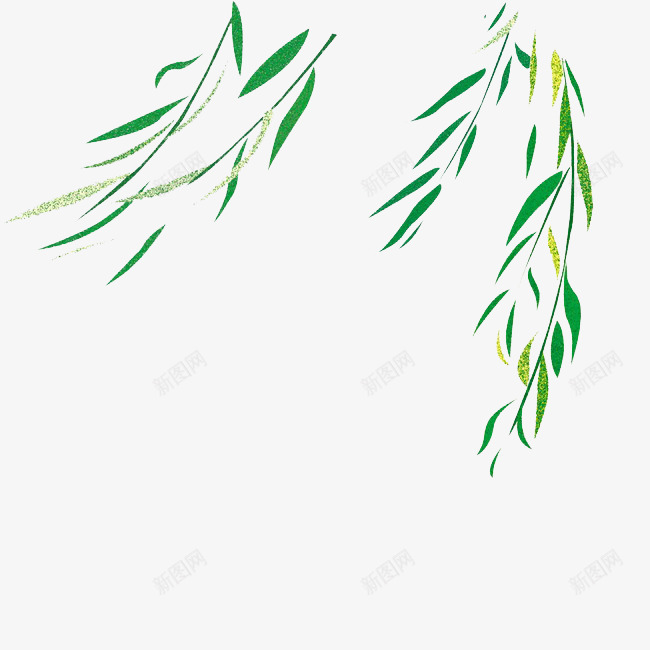 手绘柳条png免抠素材_88icon https://88icon.com 手绘画 柳条 柳条无水印 柳树叶 柳树条 柳树枝条 树叶 矢量装饰 装饰