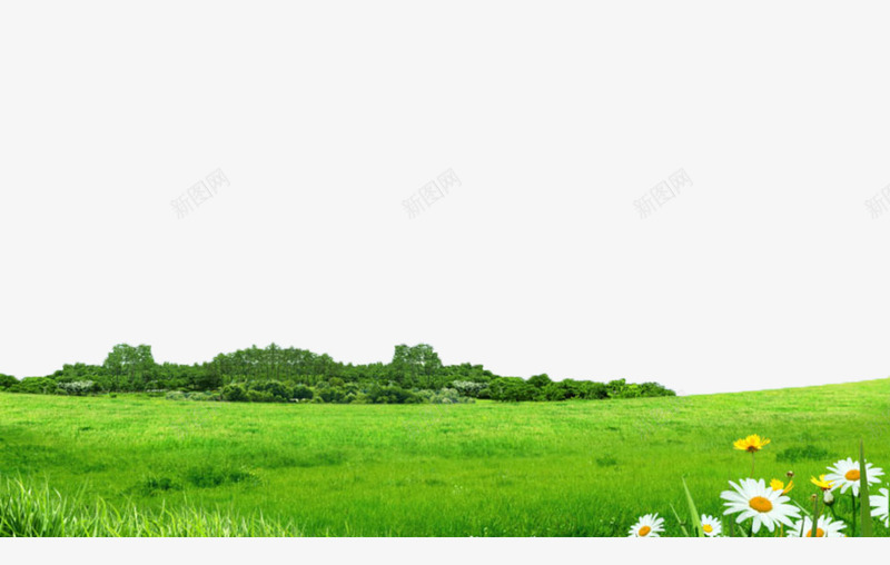 绿色草地png免抠素材_88icon https://88icon.com 大片草地 山峰 摄影 林业 林地 树木 树林 森林 植物 绿色 自然 草地 野花