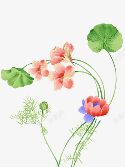 水粉画png免抠素材_88icon https://88icon.com 盛开 花图片 荷花 装饰图案