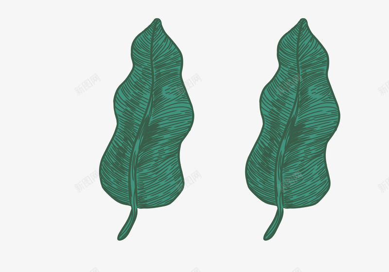简约插画小叶子png免抠素材_88icon https://88icon.com ppt叶子 卡通装饰树叶 图案装饰叶子 扁平化小树叶 简单萌叶子 绿色可爱的叶子