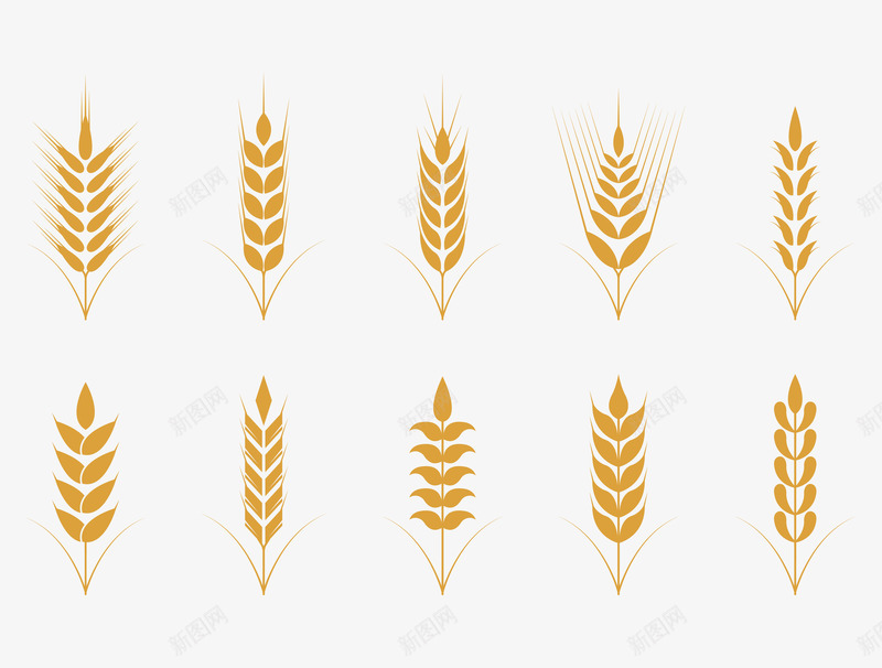 简约扁平金色麦穗图案png免抠素材_88icon https://88icon.com 农业 农作物 小麦 小麦秆 小麦穗 扁平 智慧农业 植物 燕麦 矢量小麦 矢量麦穗 简约 粮食 自然 谷物 金色 金色小麦 金色麦穗 麦子 麦穗