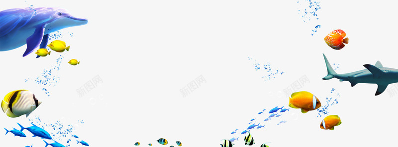 海底世界装饰图案png免抠素材_88icon https://88icon.com 海底世界 鱼 鱼群