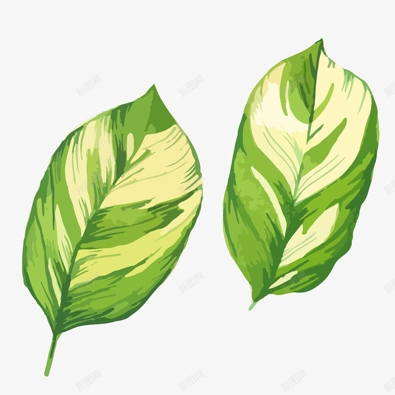 绿色可爱的叶子矢量图eps免抠素材_88icon https://88icon.com ppt叶子 卡通装饰树叶 图案装饰叶子 扁平化小树叶 简单萌叶子 简约插画小叶子 矢量图