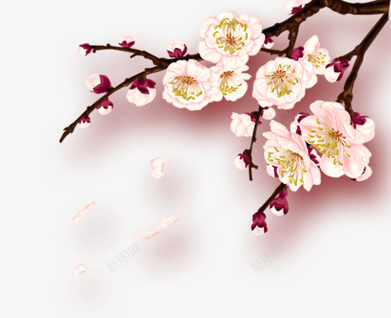 右上角的白梅花png免抠素材_88icon https://88icon.com 右上角 梅花