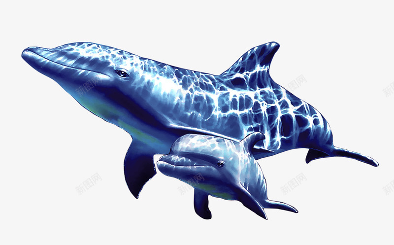 海底世界png免抠素材_88icon https://88icon.com 海底 海底世界 海鱼 蓝鲸 鱼 鲸 鲸鱼