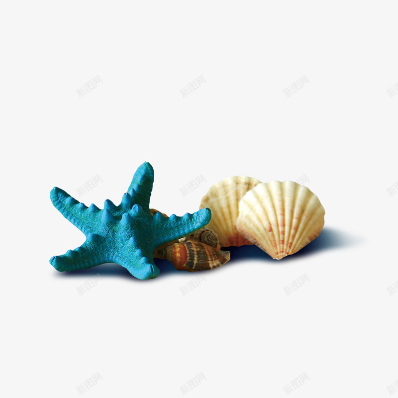 贝壳png免抠素材_88icon https://88icon.com 沙滩元素 海浪 贝壳