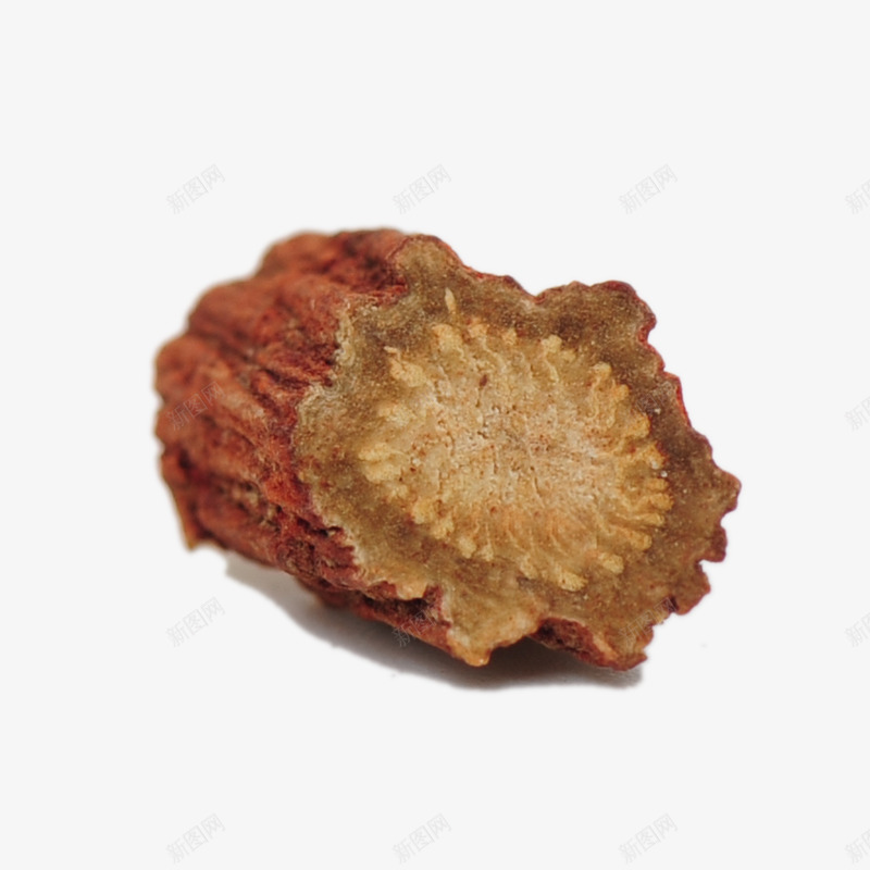 丹参特写png免抠素材_88icon https://88icon.com png图片 中草药 丹参 产品实物 免费png 免费png元素 免费png素材 野生丹参