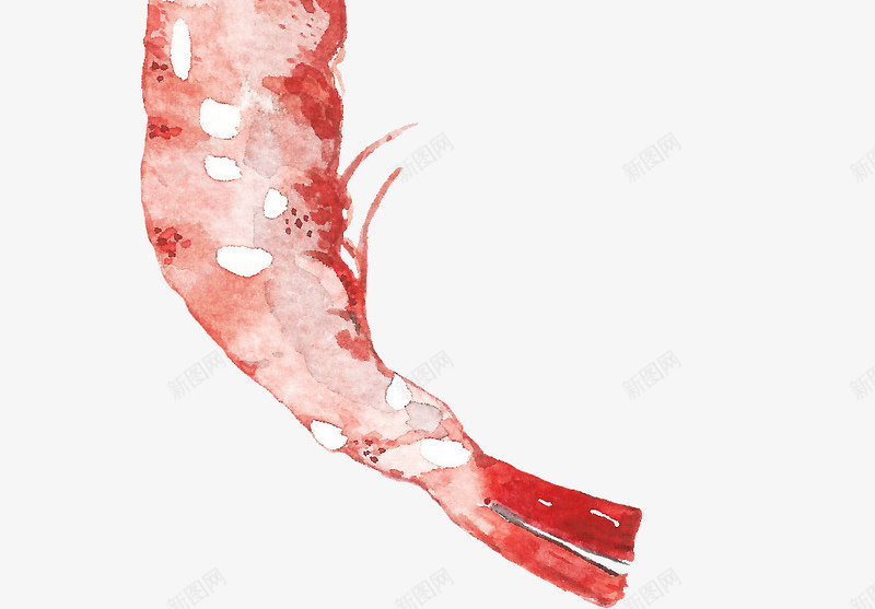 手绘红色简单水彩小龙虾png免抠素材_88icon https://88icon.com 创意图 可爱 彩色图 手绘图 水彩小龙虾 简单的