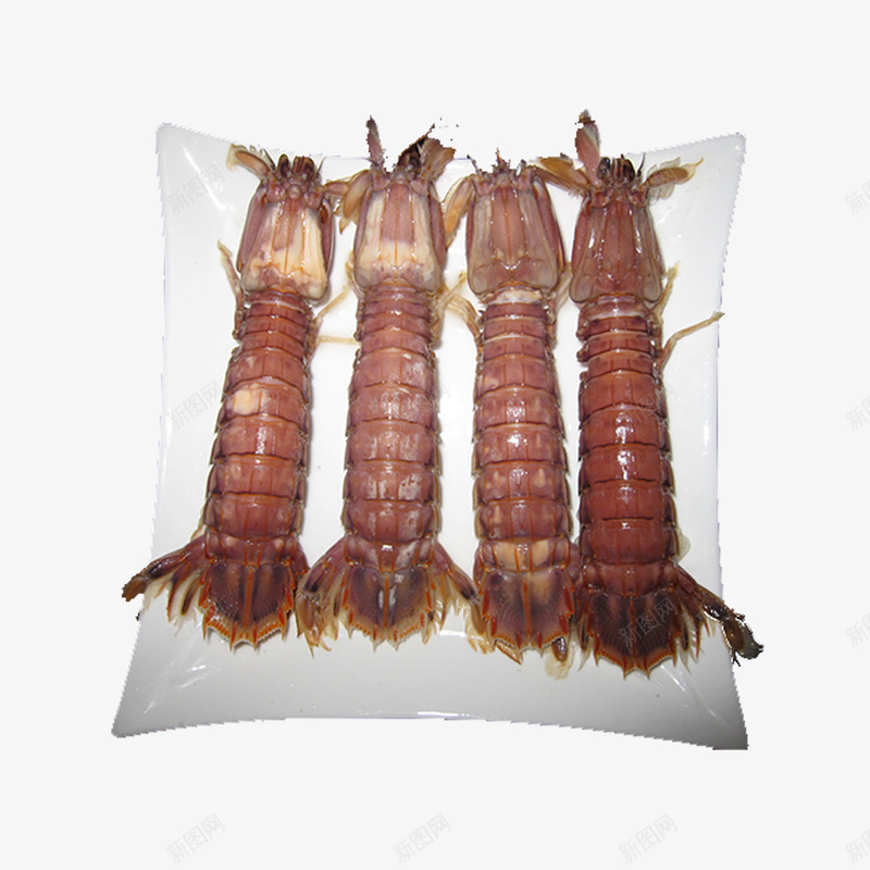 皮皮虾食材png免抠素材_88icon https://88icon.com 海鲜食品 澳洲龙虾 美味虾子 美食设计 虾子设计 麻辣虾 龙虾设计