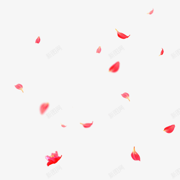 粉红色的落叶蝴蝶漂浮插图元素png免抠素材_88icon https://88icon.com 唯美 女性 手绘 春天 柔美 树叶飘 清新 漂浮 落叶 鲜花