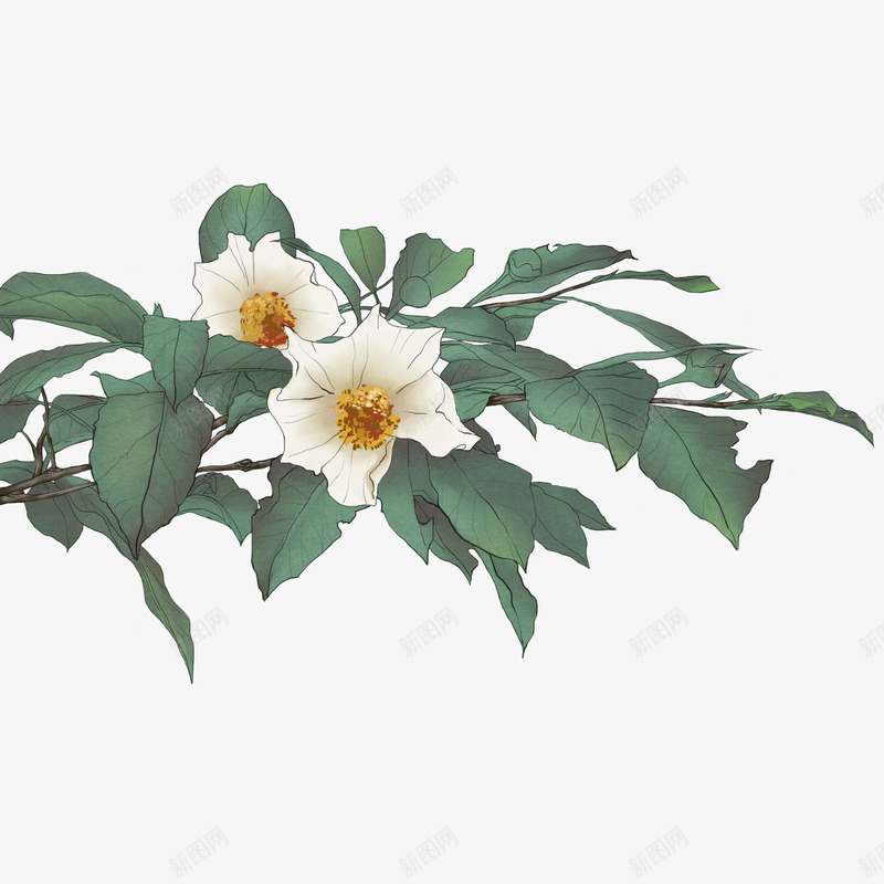 清新小花卡通插画5png免抠素材_88icon https://88icon.com 万物复苏 中国风 中式 卡通 古典 古风 叶子 文艺 春天 水墨 水彩 清新 花朵 花瓣 飘逸 鲜花