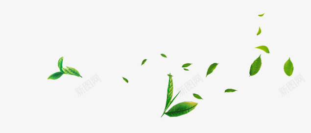 茶艺png免抠素材_88icon https://88icon.com 树叶 植物 绿色 茶叶