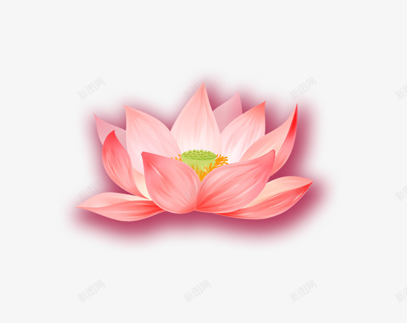 粉色荷花png免抠素材_88icon https://88icon.com 粉色 荷花 莲花