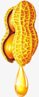花生png免抠素材_88icon https://88icon.com 花生 花生油 食物