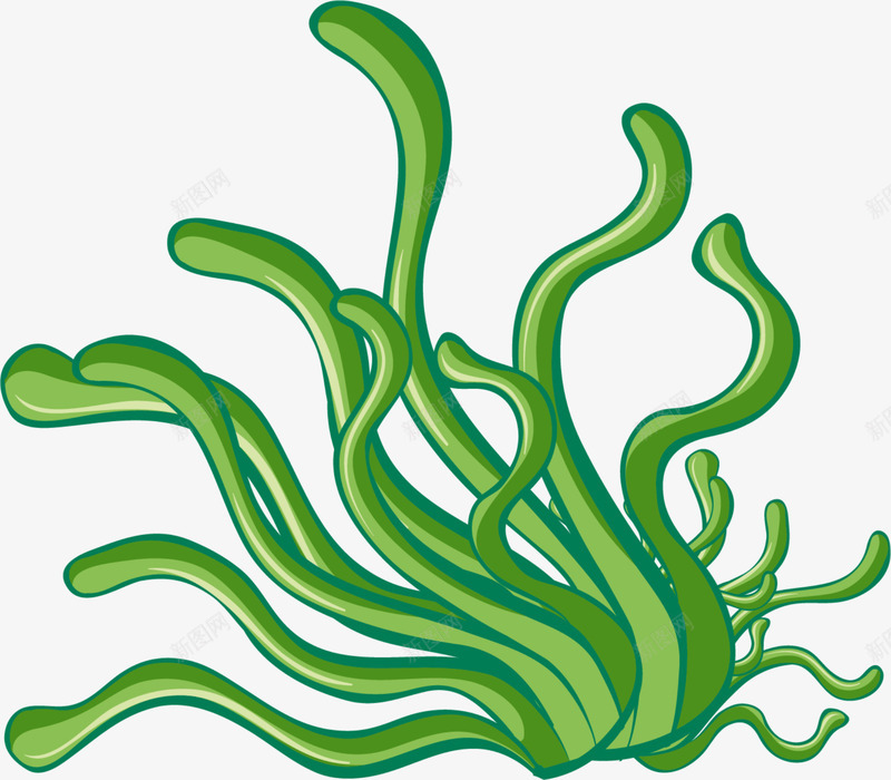 世界海洋日乱舞的海草png免抠素材_88icon https://88icon.com 一株海草 世界海洋日 乱舞的海草 海洋植物 海洋生物 绿色海草