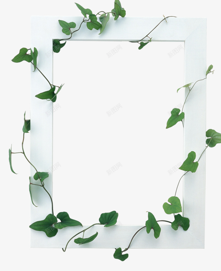 绿叶花边框相框png免抠素材_88icon https://88icon.com 春天 相框 绿叶 花边框