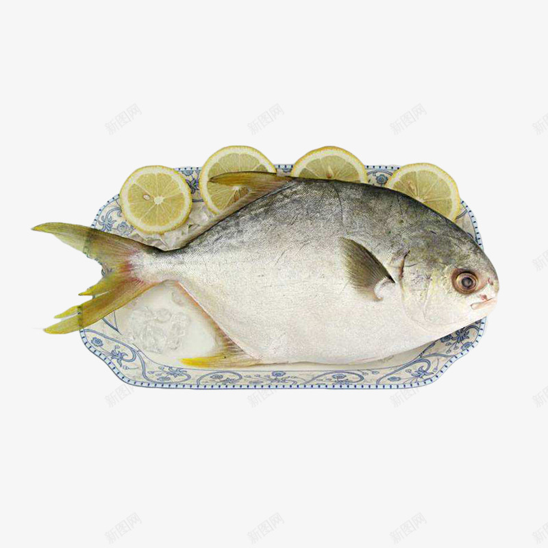 一条放在盘里的鲳鱼psd免抠素材_88icon https://88icon.com 一条 放在盘中的鲳鱼 食材 鲳鱼图片