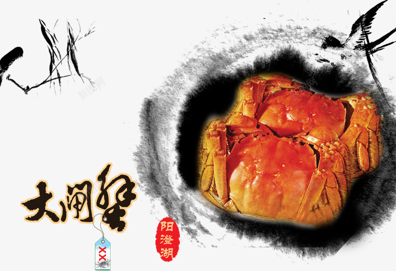 大闸蟹png免抠素材_88icon https://88icon.com 大闸蟹 字体 水墨 美食 艺术字 螃蟹 阳澄湖 阳澄湖大闸蟹 餐饮