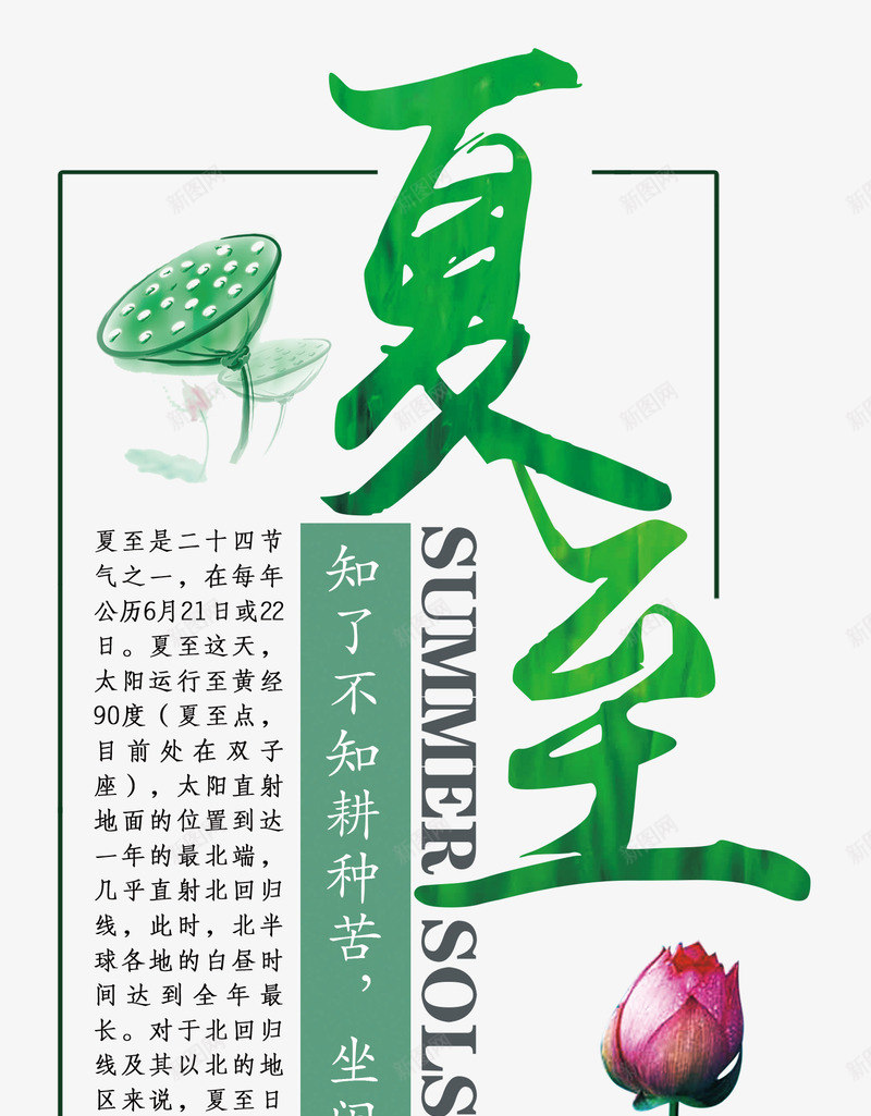 夏至主题文章艺术字png免抠素材_88icon https://88icon.com 夏至 夏至主题艺术字 夏至相关文章 手绘荷花 手绘莲蓬装饰
