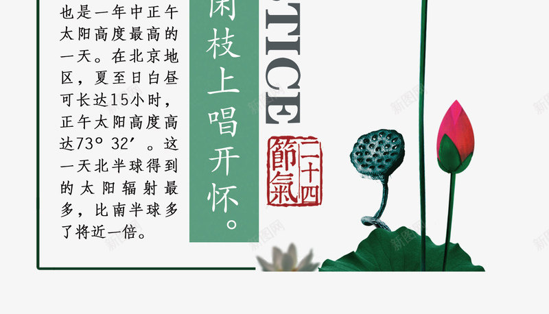 夏至主题文章艺术字png免抠素材_88icon https://88icon.com 夏至 夏至主题艺术字 夏至相关文章 手绘荷花 手绘莲蓬装饰