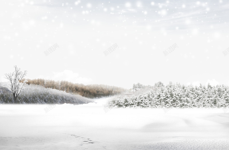 白雪皑皑的世界png免抠素材_88icon https://88icon.com 下雪场景 小树植物 白雪皑皑