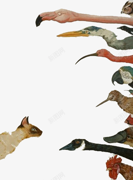 动物群psd免抠素材_88icon https://88icon.com 火烈鸟 火焰鸟 猫 飞鸟 鹦鹉 鹧鸪