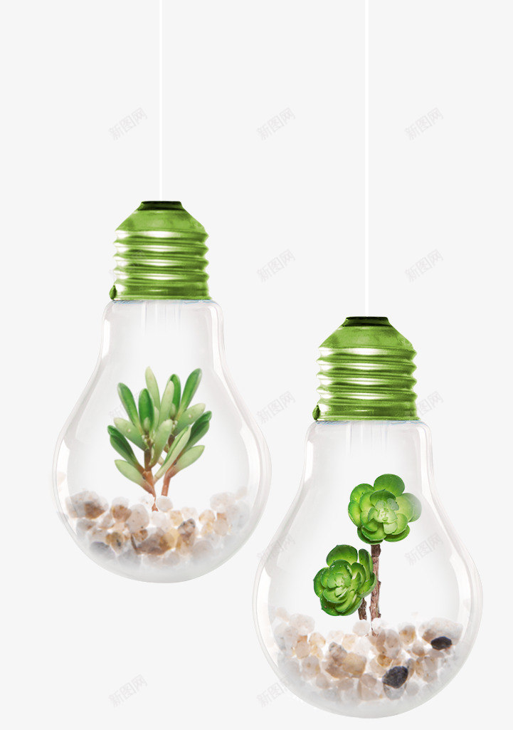 灯泡里的绿色植物png免抠素材_88icon https://88icon.com 创意盆栽 叶子 多肉植物 植物 灯泡 绿叶 绿植